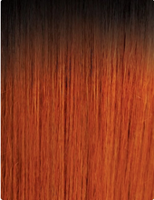 Load image into Gallery viewer, Outre Lace Front NEESHA 203