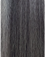 Load image into Gallery viewer, Outre Lace Front NEESHA 203