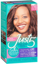 Load image into Gallery viewer, Just 5 Hair Color