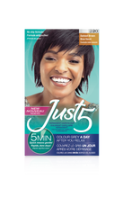 Load image into Gallery viewer, Just 5 Hair Color