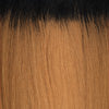 Load image into Gallery viewer, FreeTress Equal Synthetic Hair Bun & Bang Swirl Bun (Dome) Bang 2Pcs (China Bang)
