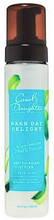 Load image into Gallery viewer, Carol's Daughter Wash Day Delight