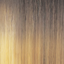 Load image into Gallery viewer, Outre Lace Front NEESHA 202