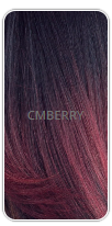 Load image into Gallery viewer, Freetress Equal Synthetic Hair Wig - LITE 003
