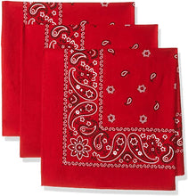 Load image into Gallery viewer, ACC Bandanna
