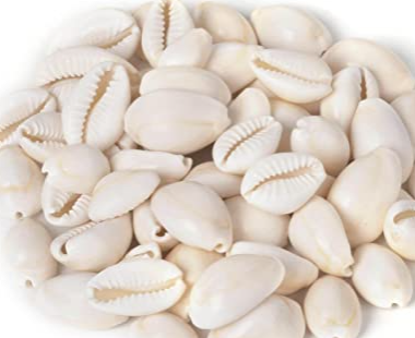 Hair Ring Cowrie Sea Shells Bead
